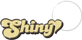 2007 SUPER GTイメージガール：Shiny